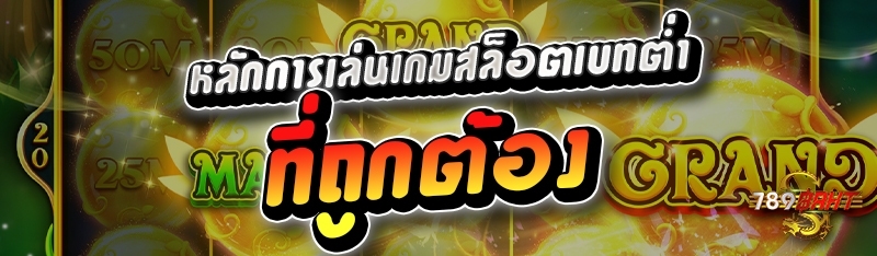 หลักการเล่นเกมสล็อตเบทต่ำ ที่ถูกต้อง 